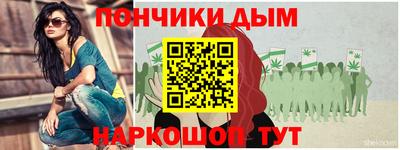 дмт Можга