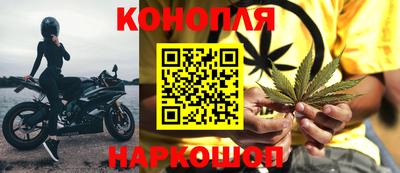 прущие крисы Моздок